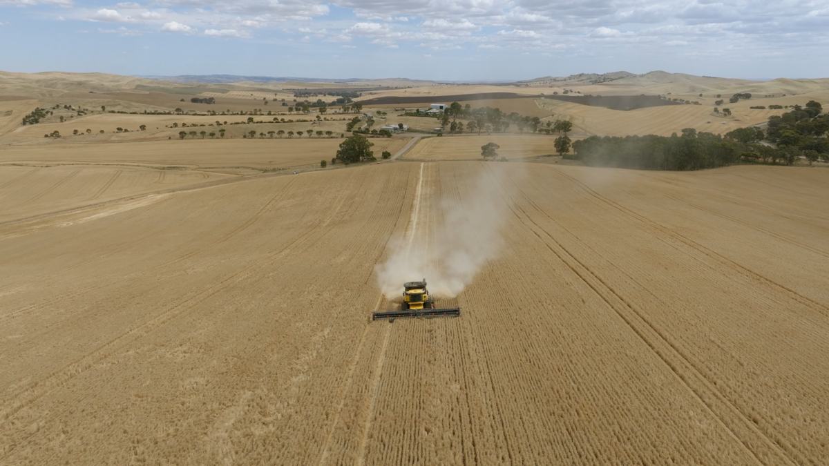 Aerial view of a header throwing up dust across a paddock